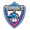 Academia Sharks CFK